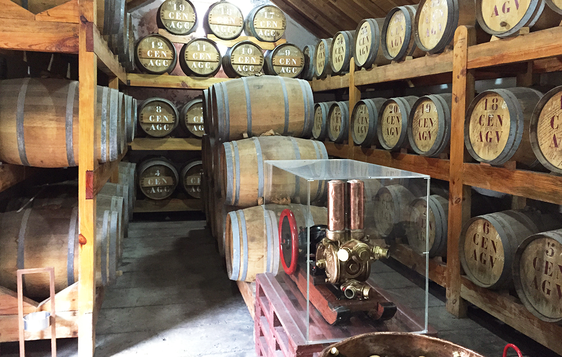 wine cellar madeira